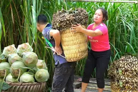 越南比较穷，为啥日子过得却很幸福？看完这个视频你就知道原因了视频封面