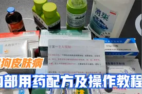 金毛拉布拉多柯基泰迪比熊雪瑞纳狗狗皮肤 病用药配方及操作教程视频封面