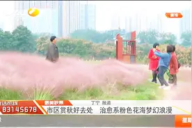 西安还藏着这么美的地方，市区赏秋好去处，简直是拍照打卡圣地啊视频封面
