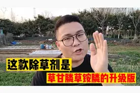 这款除草剂是草甘膦和草铵膦的升级版，除草效果更好死草更彻底。