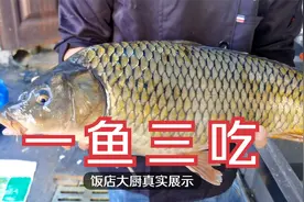 大厨展示大鲤鱼一鱼三吃的做法，这技术太厉害了#秋季美食安利会#视频封面