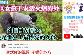 山区女孩干农活火爆海外，外国网友评论：她是世界上最漂亮的女孩视频封面