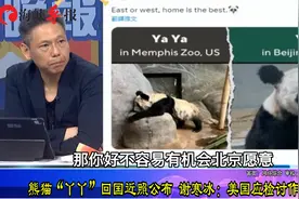 大熊猫丫丫回国近照公布，台名嘴：美国应检讨自己到底做了什么事视频封面