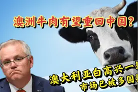 牛肉有望重返中国市场？澳洲还没高兴多久，市场就已被多国瓜分视频封面