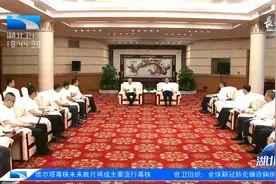 王忠林与华大集团董事长汪建座谈视频封面