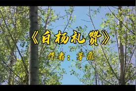 茅盾《白杨礼赞》视频封面