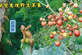 丛林美食：二柱子花果山摘苹果和火龙果，现摘现吃贼过瘾！视频封面