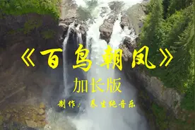 唢呐演奏《百鸟朝凤》好听的纯音乐，优美洒脱，俏皮好看视频封面