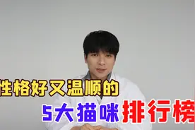 性格好又温顺的5大猫咪排行榜