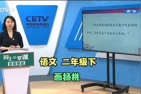 语文二年级下《画杨桃》视频封面