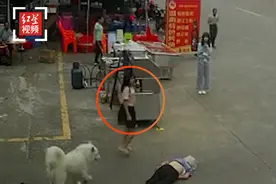 88岁老人被牵狗绳绊倒受伤后死亡，律师：可追究民事责任视频封面