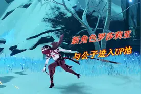 原神：新角色罗莎莉亚及公子即将进入up池，带来不一样的视觉冲击视频封面