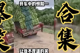 泥地路看到的一幕，这位师傅开车操作，真是让我大开眼界视频封面
