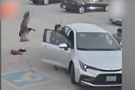 吓人！加拿大鹅一路对女子穷追猛打 还嚣张钻进车 最后遭一脚踢开视频封面