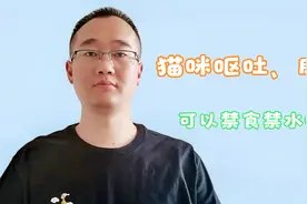 猫咪呕吐、腹泻，禁食禁水这个方法主人别乱用，它的肝脏受不了视频封面