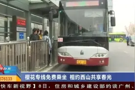 太棒了！太原公交推出赏樱专线，免费向乘客开放，带您共享春光视频封面