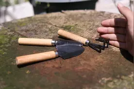 养花要准备什么工具？园艺师教你，用园艺工具三件套，养花更轻松视频封面