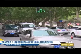 南京：快收好！森林音乐会交通及接驳指南丨标点视界视频封面