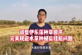 改变一下伊乐藻的种植顺序，就可以巧妙解决水草挂脏问题视频封面