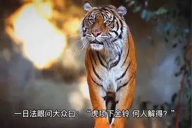 中国有一句俗语，“解铃还须系铃人”，这个词语的由来视频封面