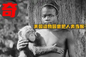 100多年前的美国动物园，曾把人类当成猴子一样展出视频封面
