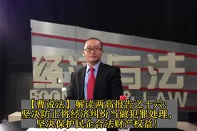 解读两高报告：坚决防止将经济纠纷当犯罪处理，保护民企合法权益视频封面