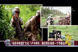 乌克兰东部地区炮击增加引发关切，是谁开了第一枪？|今日关注视频封面