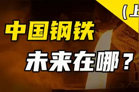 过去这家民营企业是怎么赚到大钱的？未来民营企业还能怎么赚钱？视频封面