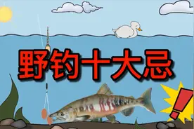 野钓10大忌讳，你中了几条？视频封面