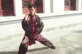 赵堡太极拳名家王集体先生演练的赵堡太极腾挪架视频封面