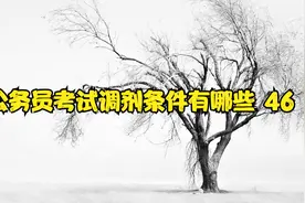公务员考试调剂条件有哪些 46视频封面