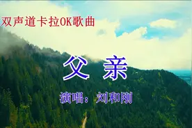 双声道卡拉OK歌曲《父亲》伴奏刘和刚推荐KTV经典亲恩音乐视频封面