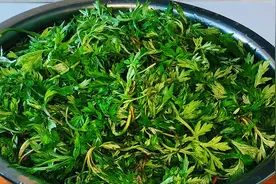 艾叶怎么做最好吃，很多人做错了，教你正确做法，鲜香软糯超美味视频封面