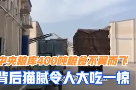中央粮库400吨粮食为何不翼而飞，谁偷的？背后原因令人大吃一惊视频封面