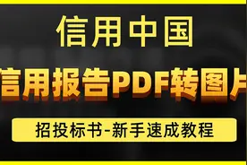 信用中国的信用报告下载PDF转图片视频封面