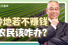 农民不种地是不是好事儿？孔祥智：减少农民有利于农业现代化视频封面