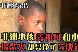 非洲小孩打工赚钱，养活年迈祖母和小弟，捡柴火却只赚了5块钱！视频封面