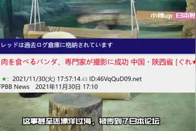 日本网友评论：没想到中国大熊猫还能吃肉！视频封面