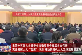 市第十五届人大常委会咨询委员会换届大会召开视频封面