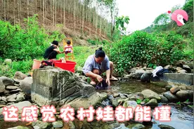 实拍云南山村的真实生活，洗衣服可以下河，饭桌上还有健康的野菜视频封面