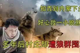 1976年知青到内蒙下乡,从狼窝中救下一狼崽,35年后村庄被狼群围攻视频封面