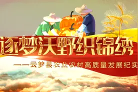 湖北省云梦县农业农村高质量发展电视专题片《逐梦沃野织锦绣》视频封面