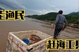 老渔民赶海与众不同，沙滩上两只螃蟹抱在一起，还有卧沙梭子蟹视频封面
