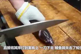 韩国大厨刀工有多恐怖？鳗鱼刚反咬一口，瞬间被剥皮抽筋视频封面