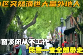 小区突然涌进大量外地人，门窗紧闭从不工作，民警一查全部带走视频封面