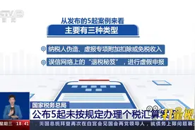 国家税务总局：公布5起未按规定办理个税汇算案例视频封面