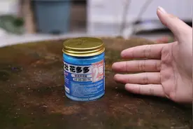 养花光长叶不开花怎么办？园艺师教你，用花多多2号，快速促开花视频封面