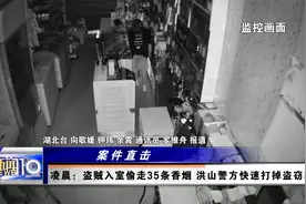 盗贼入室偷走35条香烟 洪山警方快速打掉盗窃团伙视频封面