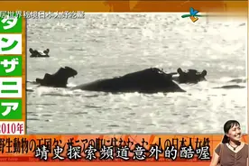 移居世界秘境日本人好吃驚(牙買加-非洲坦尚尼亞(1)3视频封面