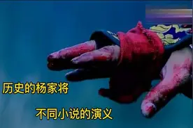 北宋杨家将满门忠烈？杨业、杨宗保、七郎八虎历史上的真实情况视频封面